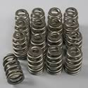 Competition Cams Comp Cams Single Valve Spring