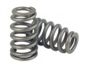 Comp Cams Beehive Spring - 1.055/1.290 O.D. LS1, LS6 engines