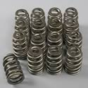 Comp Cams Single Valve Spring